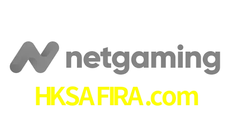 NetGaming